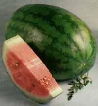 Watermelon